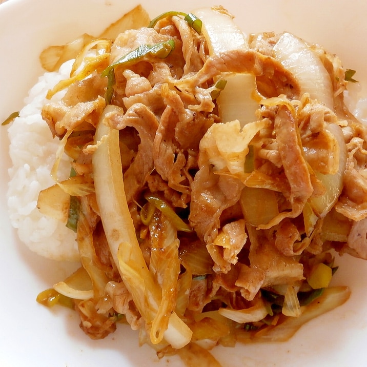 白ネギと玉ねぎの 豚丼 レシピ 作り方 By なな1151 楽天レシピ 白ネギと玉ねぎの 豚丼 レシピ 作り方 By なな1151 楽天レシピ